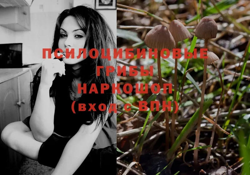 Псилоцибиновые грибы Magic Shrooms  как найти наркотики  Апатиты 